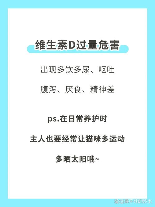 貓咪維生素D，了解與補(bǔ)充的重要性