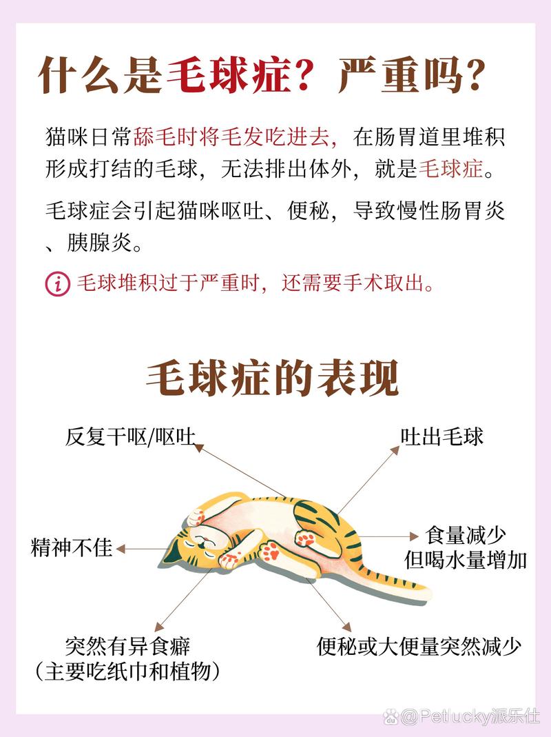 揭秘貓咪吐毛球癥，預(yù)防與護理指南