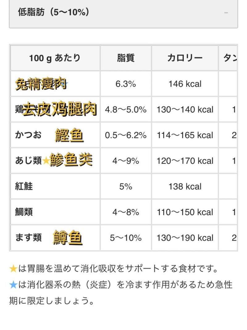 貓咪胰腺炎飲食指南，恢復(fù)健康的正確方式