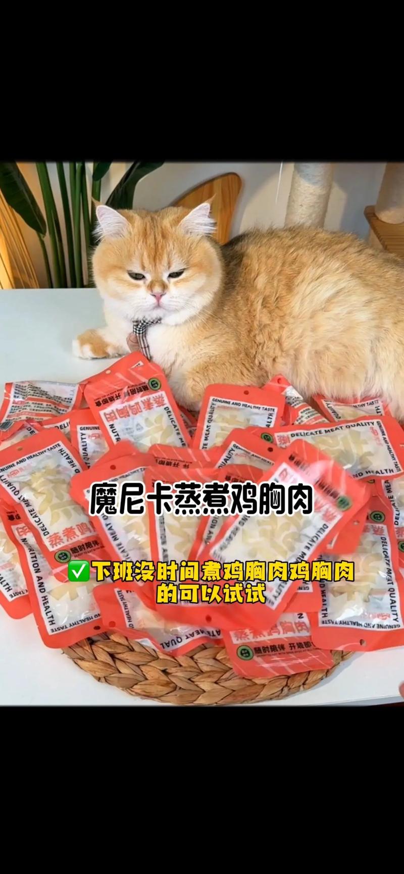 貓咪的美食新寵，探究生雞胸肉的安全與挑戰(zhàn)