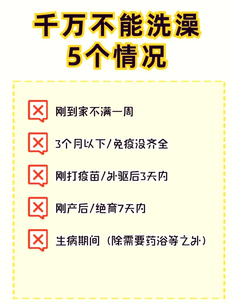 輕松掌握，貓咪洗澡頻率與護(hù)理技巧