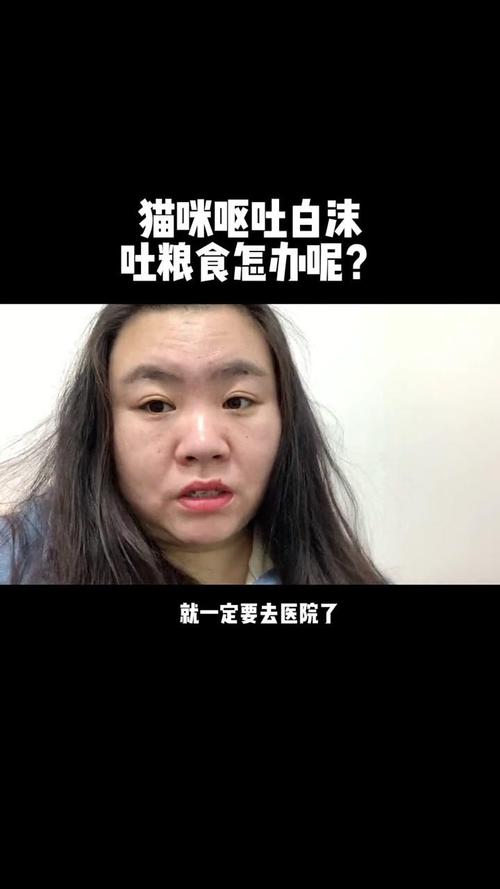 貓咪嘔吐白沫，你是否已經忽略了健康信號？