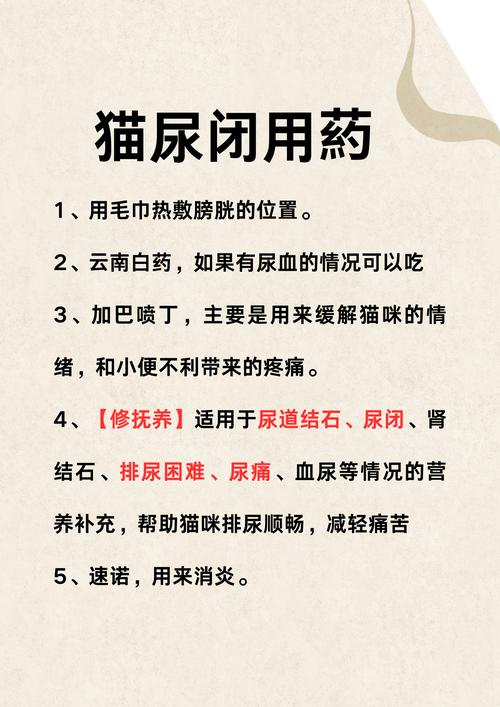 貓咪尿痛，了解癥狀、原因及護(hù)理方法