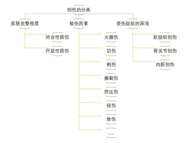 貓咪內臟摔傷，緊急情況下的急救知識