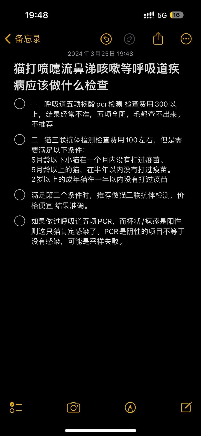 貓咪咳嗽與流淚，探秘潛在的健康危機