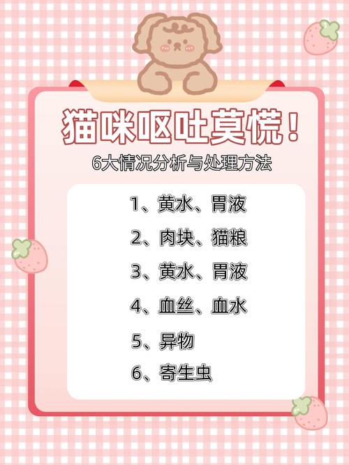 貓咪突然出現(xiàn)拉稀與嘔吐，毛發(fā)掉得比往常多？警惕潛在疾病