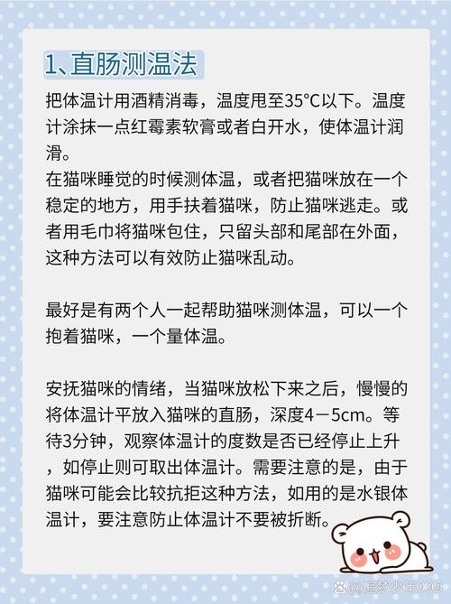 貓咪體溫偏低，了解原因與應對措施