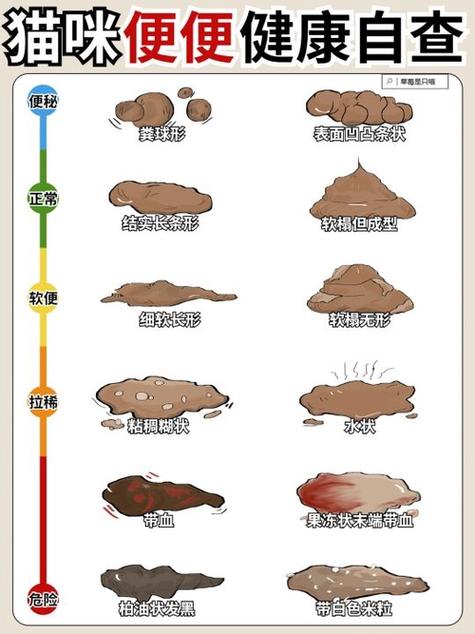 貓咪大便拉水，原因與解決之道