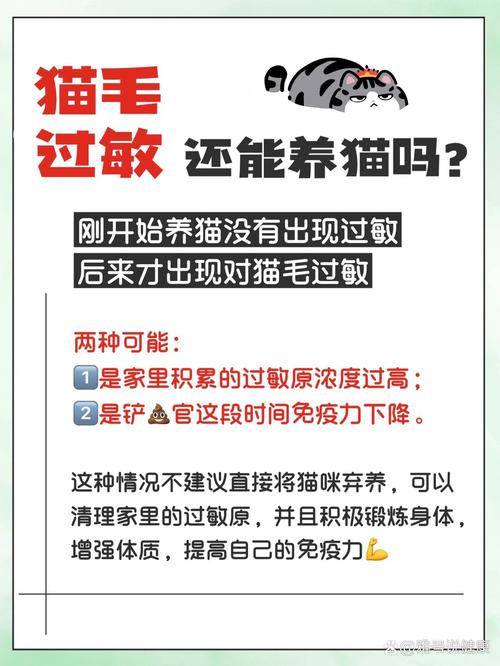 揭秘貓咪過(guò)敏的治療方法