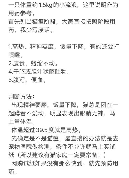 揭秘貓咪貓瘟的治療費用，了解開支與預(yù)防之道