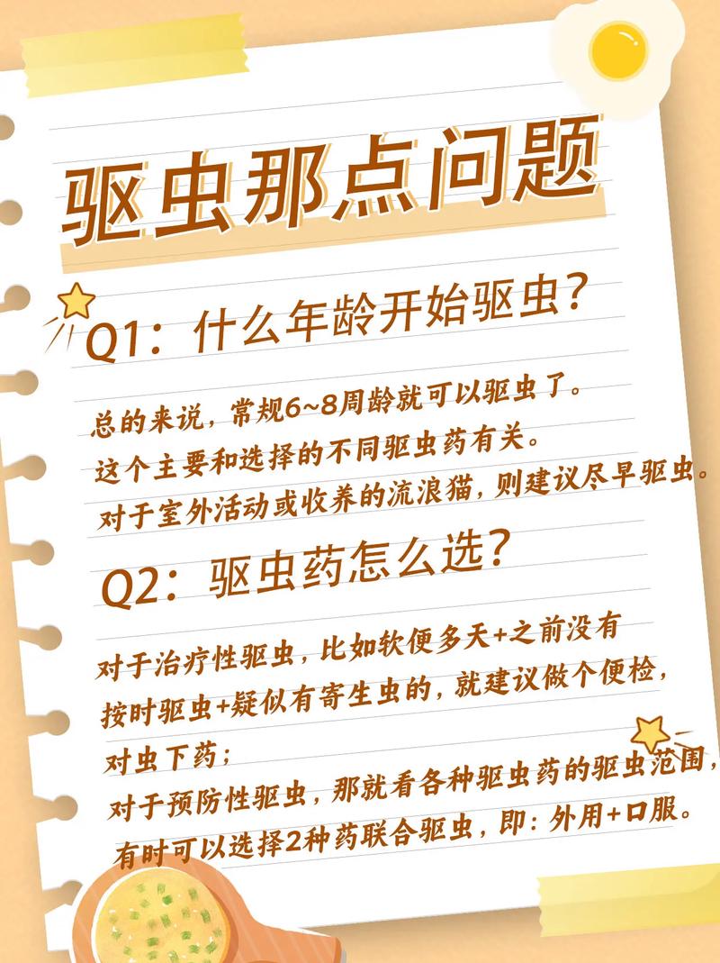 驅(qū)除貓身寄生蟲——為愛寵保駕護(hù)航