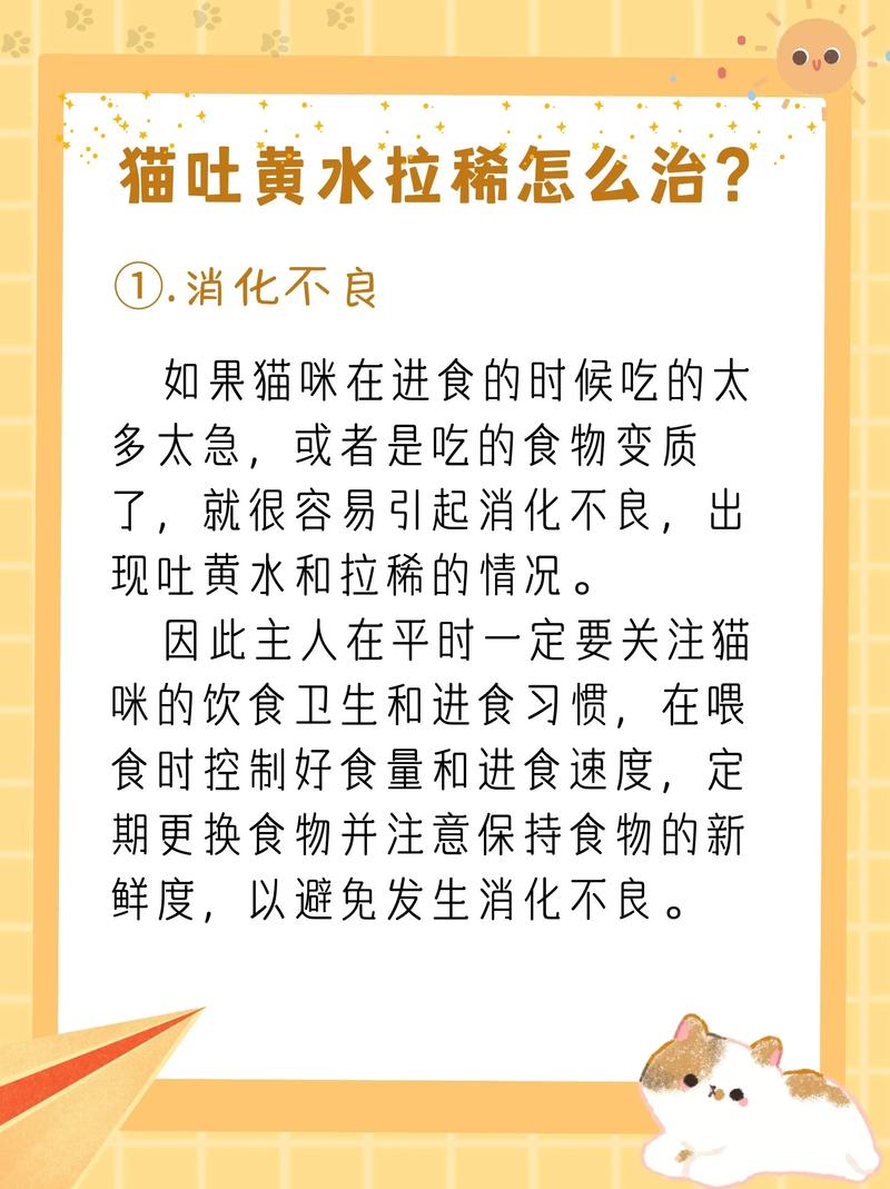 貓咪拉肚子與嘔吐的神秘黃水現(xiàn)象