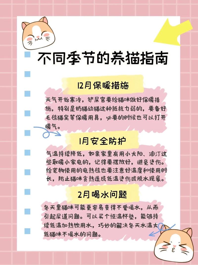 養(yǎng)貓指南，兩個月大貓咪的正確飲食量