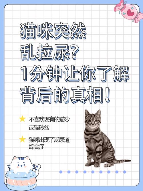 貓咪的月經(jīng)真相揭秘，一場(chǎng)誤解與科學(xué)的較量