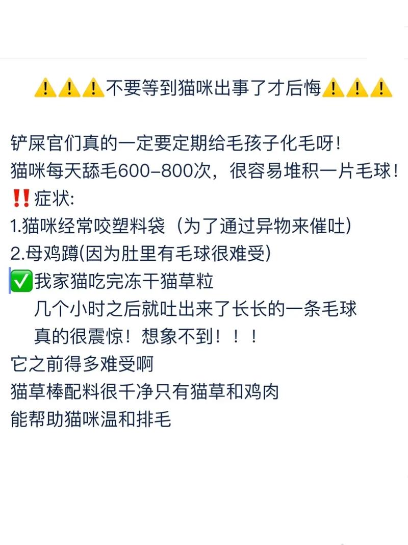 貓咪毛球，清理皮屑的五大妙招