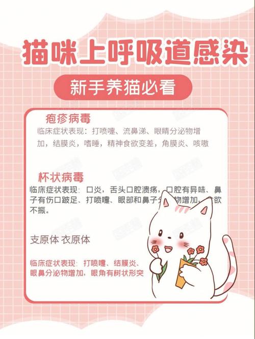 貓咪呼吸疾病的常見癥狀與防治對(duì)策