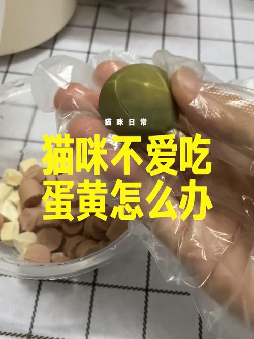 貓咪不吃蛋黃？真相大公開