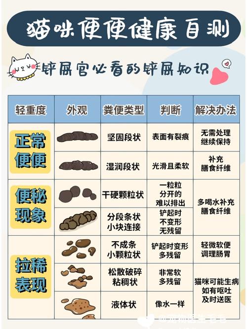 貓咪粑粑顏色背后的健康信號