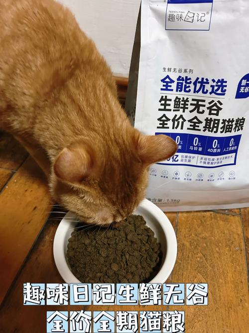 貓咪誤食糧食？主人需注意的糧食安全問題