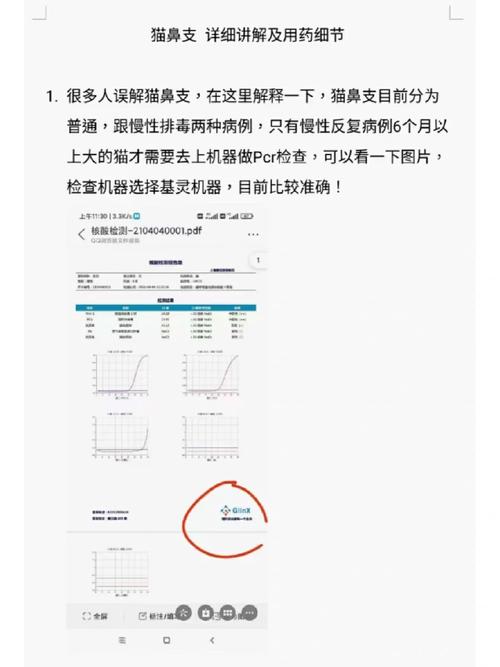 貓咪的鼻傷，如何正確處理與預防