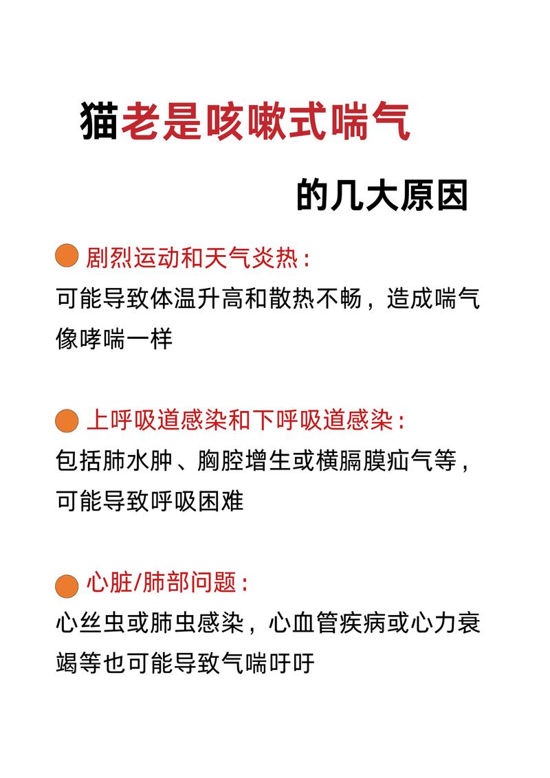 貓咪頻繁咳嗽？你可能忽視了這些常見的原因