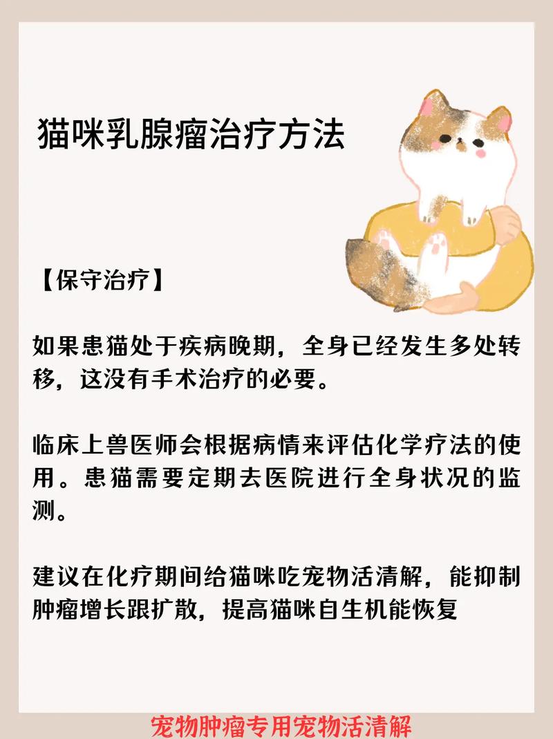 貓咪脊髓炎，了解這種疾病及其對貓咪的影響