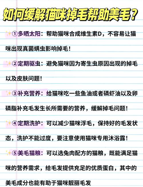 貓咪的毛發(fā)秘密，掉毛與脫皮的真相