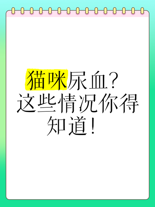 小貓咪為何會尿血？健康問題需引起重視