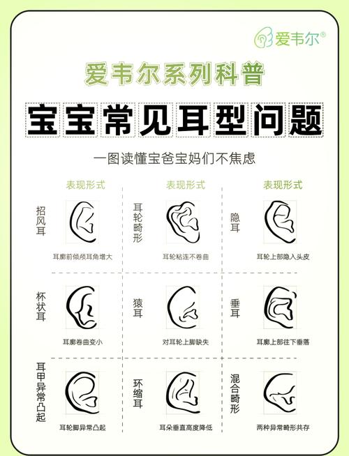 貓咪清潔耳朵的奧秘——為您的小寵準(zhǔn)備的貼心指南