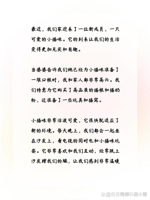 溫馨選擇，為家中添一只可愛(ài)的小貓咪