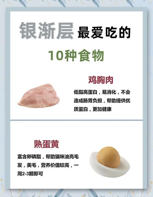 揭秘貓咪最?lèi)?ài)的八大食物