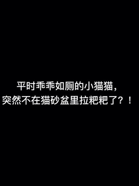 貓咪為何不再使用貓砂？——揭秘常見(jiàn)問(wèn)題與解決方案