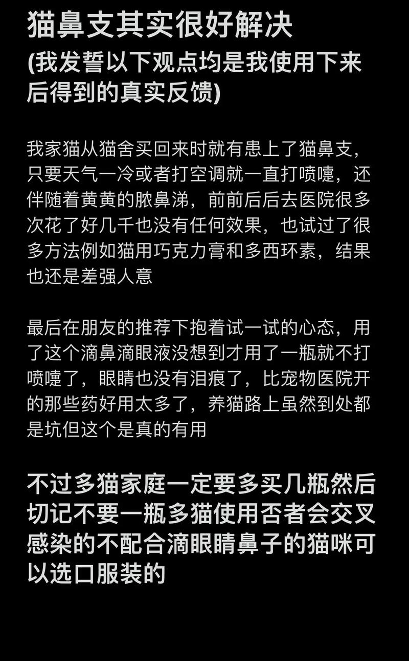 揭秘，給貓咪正確滴鼻的妙招與注意事項