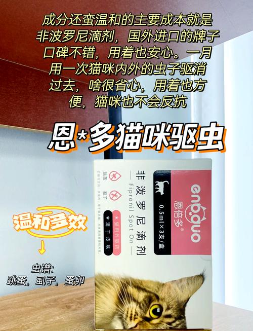 貓咪驅(qū)蟲藥，安全使用，呵護毛孩子健康成長