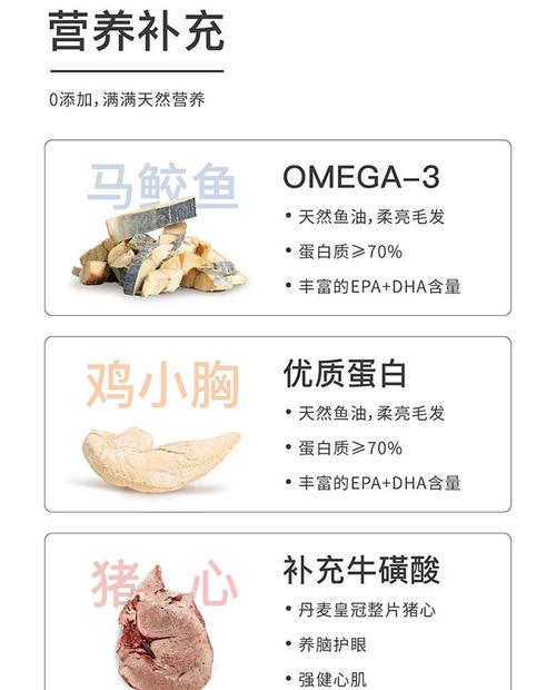 貓咪的美味佳肴，探索安全的食物清單