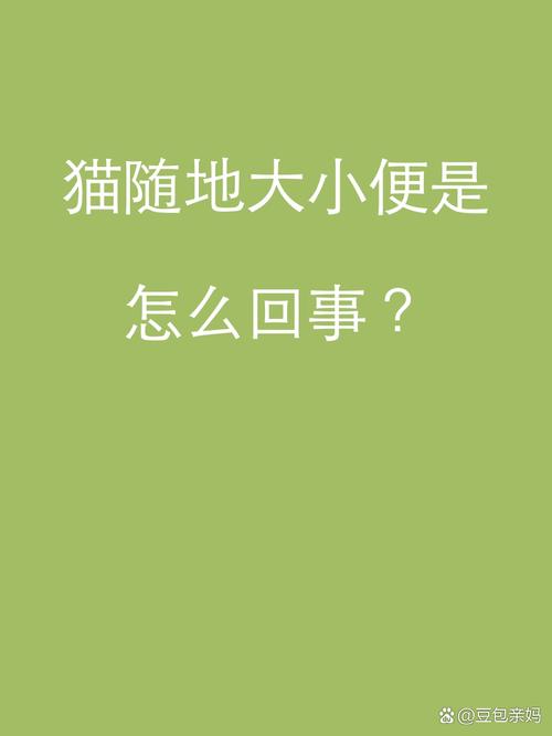 貓咪為何情有獨(dú)鐘廁所——揭秘貓的排泄習(xí)慣與心理需求