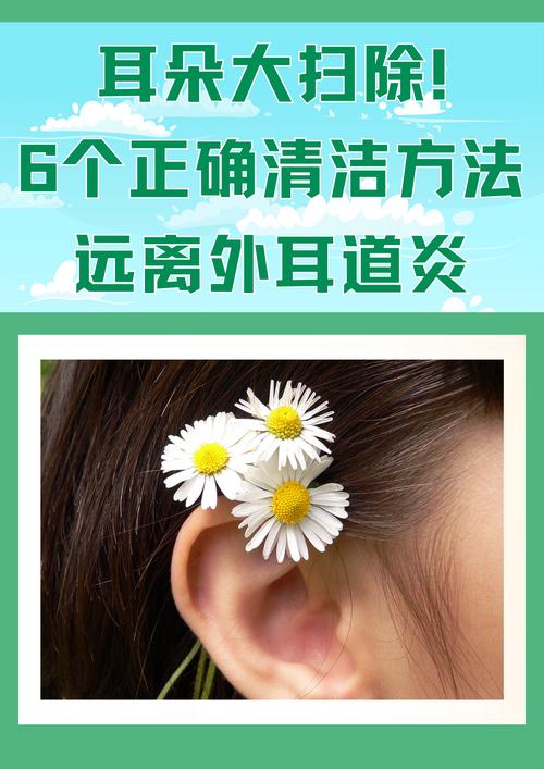 貓咪耳道清潔，一項(xiàng)日常護(hù)理不可或缺的任務(wù)