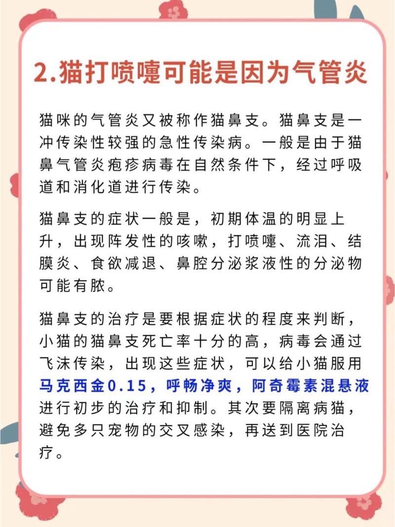 貓咪感冒時為何總是愛睡覺？