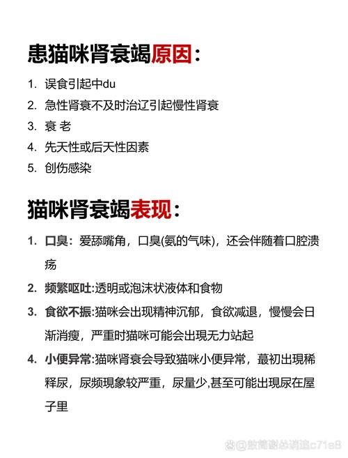 貓咪慢性腎衰竭的早期預(yù)警與護理要點