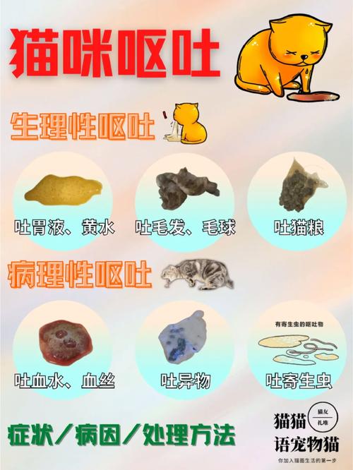 揭秘貓咪嘔吐黃水與毛的原因及應對措施