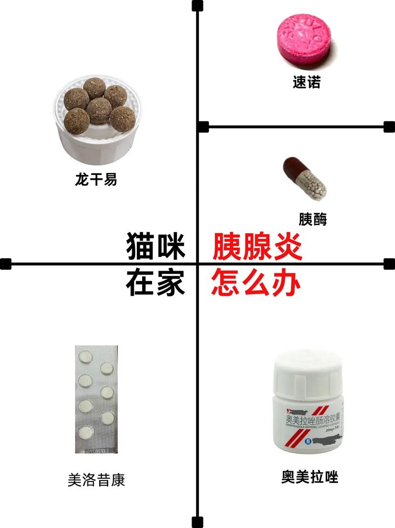 揭秘貓咪胰腺炎的那些不開(kāi)心癥狀