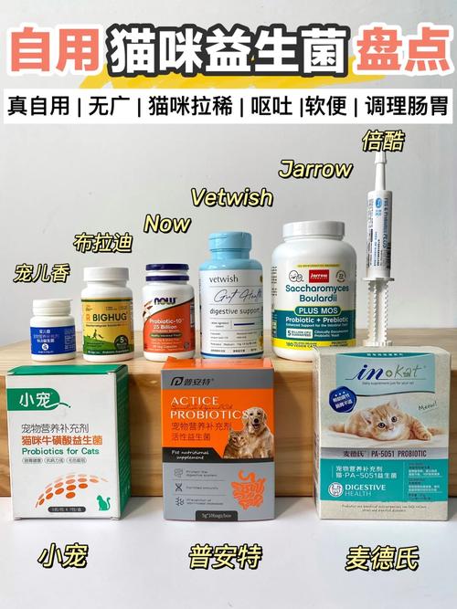 貓咪消化不良？這樣吃，輕松恢復活力