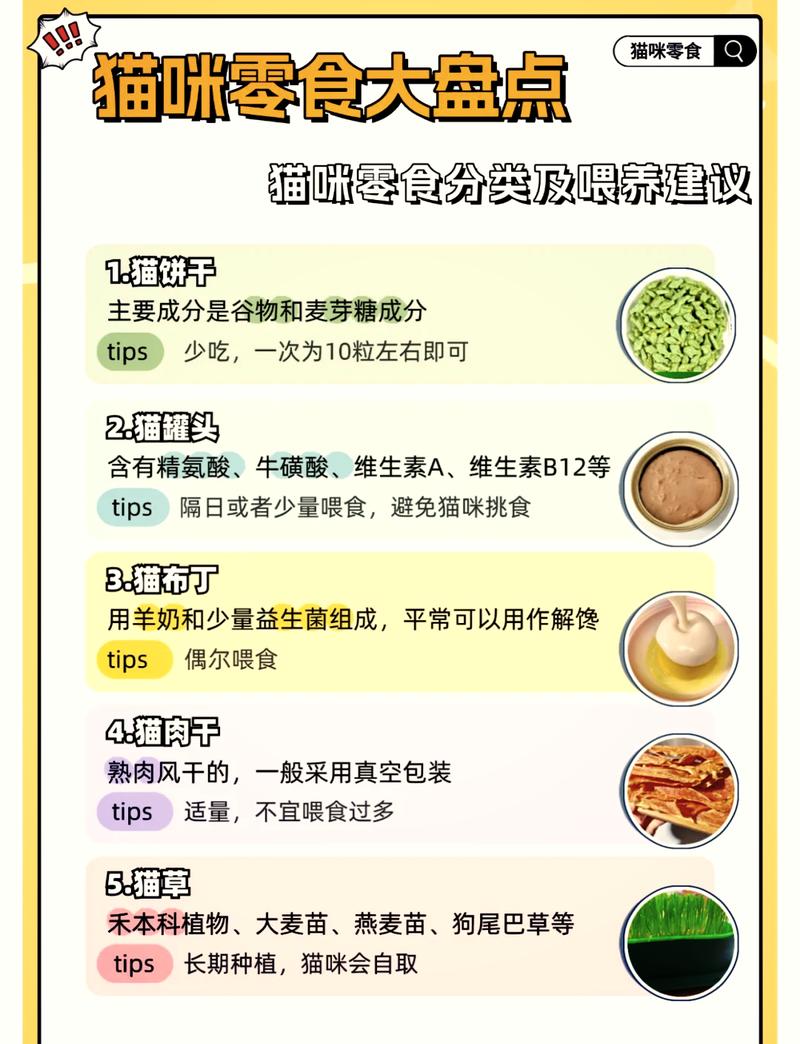 貓咪能否享受零食？專家解讀