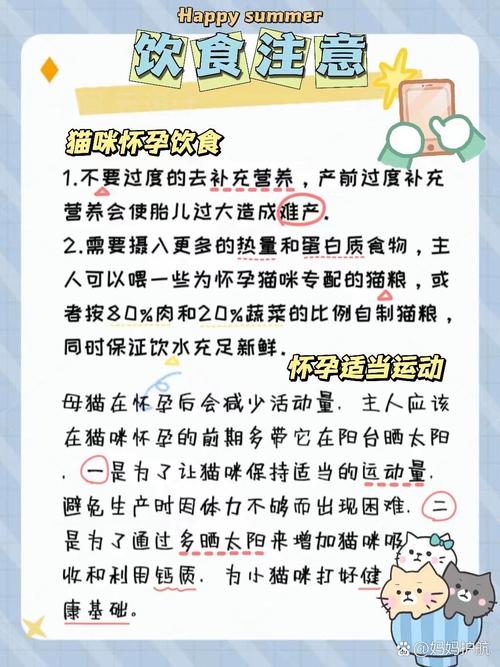 揭秘貓咪的妊娠周期與分娩過(guò)程，從懷孕到新生只需短短幾個(gè)月