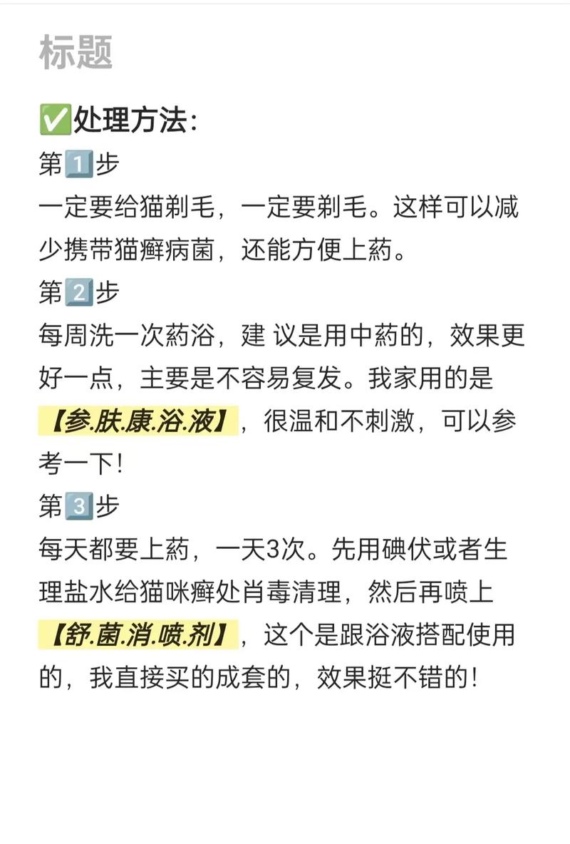 妙招助貓咪腳爛痊愈，護(hù)理與預(yù)防并重