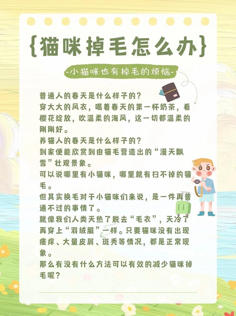 貓咪掉毛多久會停止？