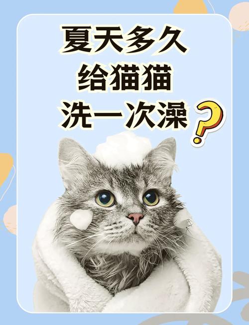 貓咪洗澡后突然發(fā)燒？你需要知道的五件事