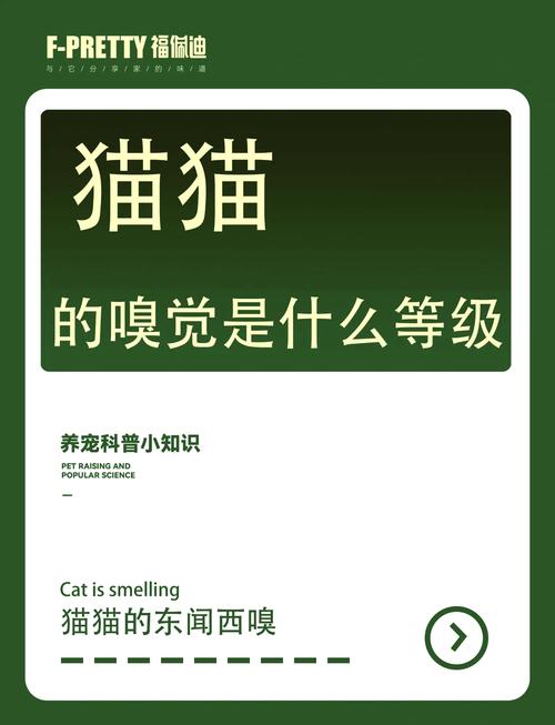 后腳先行，揭秘貓咪優(yōu)雅行走的秘密