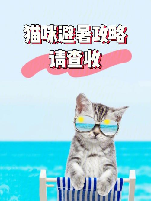 夏日防患于未然，了解貓咪中暑的征兆與應(yīng)對措施