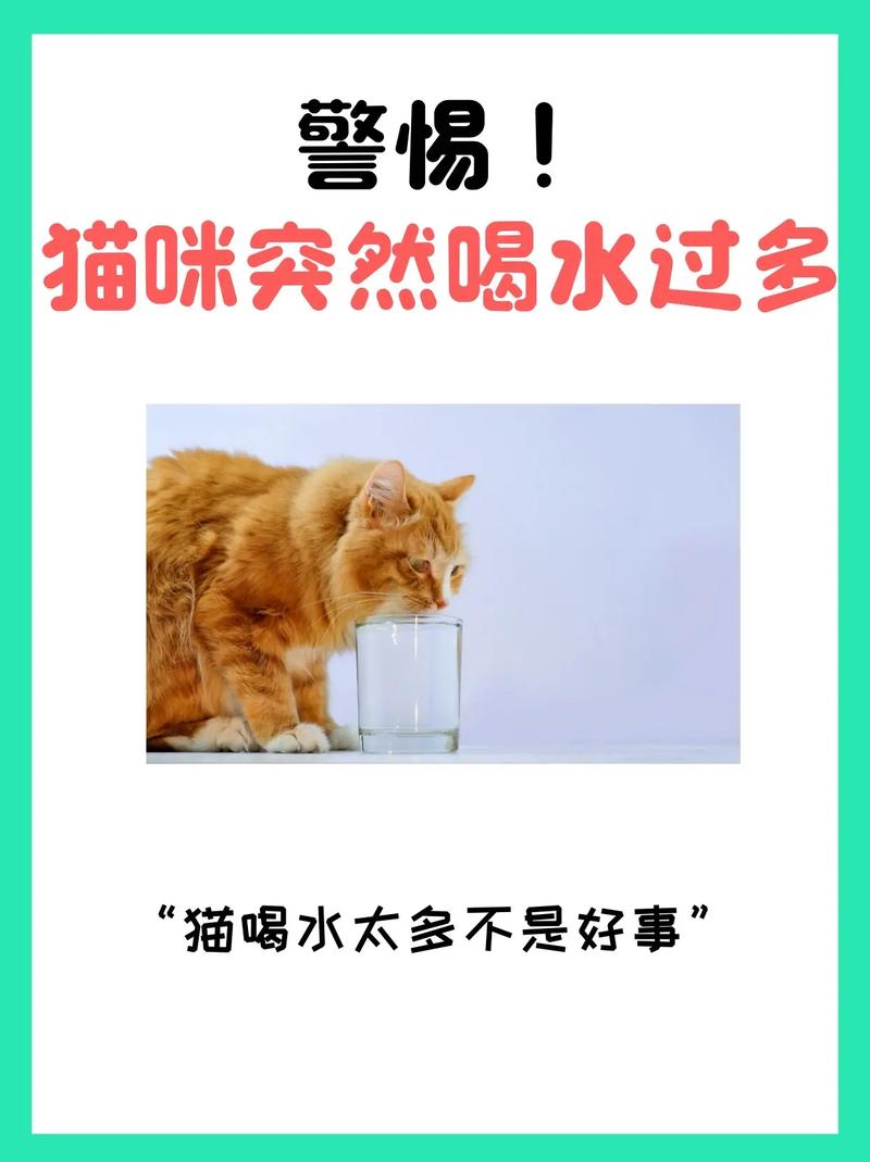 貓咪為何喝水如此急迫？探索它們的飲水秘密